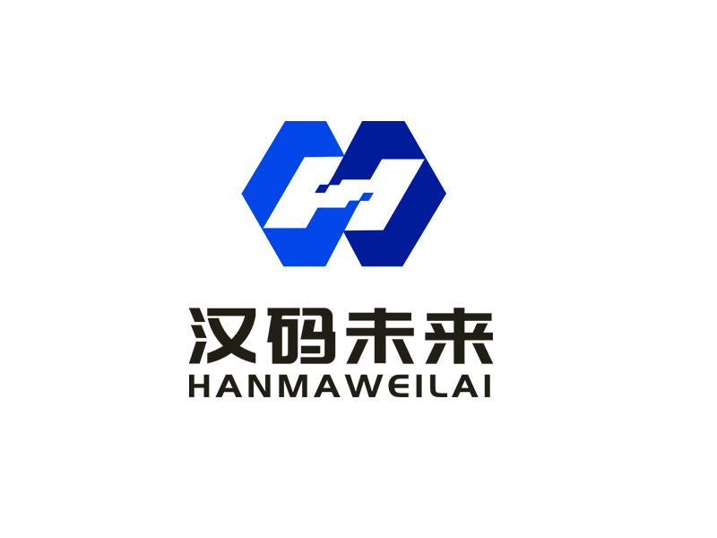 李杰的公司名:漢碼教育科技(無錫)有限公司 品牌名:漢碼未來logo設(shè)計